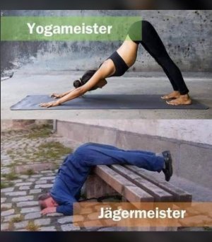 Yogameister.jpg
